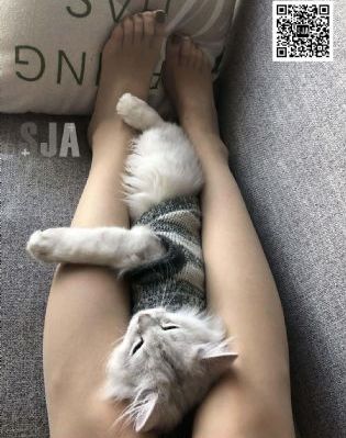 免费日韩电影