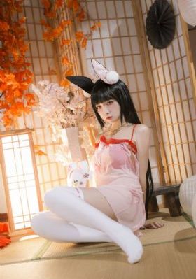 美教师地狱